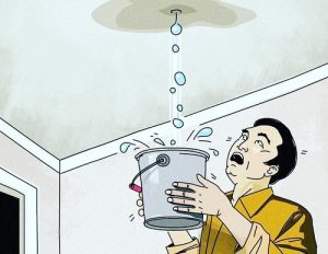 61904106 2423844814513397 3110361826240495616 n