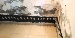 chống thấm tường nhà