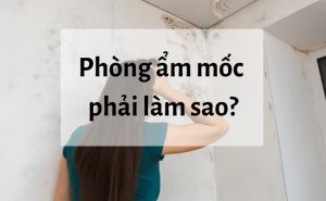 tường ẩm mốc 3