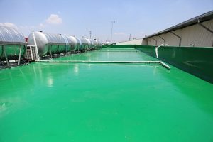 Chống thấm Polyurethane