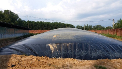 màng chống thấm hầm biogas
