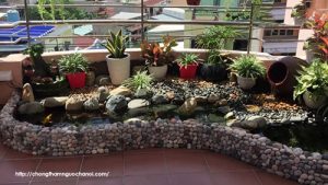 chống thấm hồ cá sân thượng