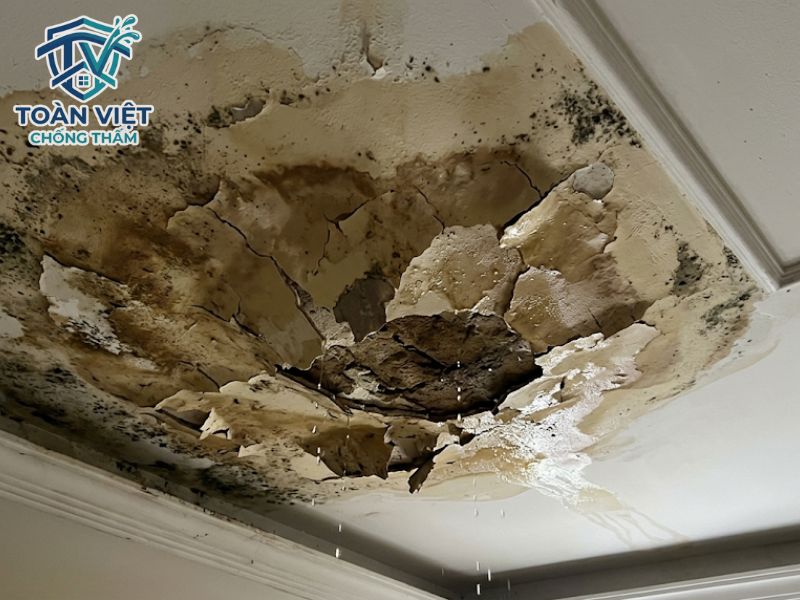 Chống thấm nhà vệ sinh không cần đục gạch có bền không? 3 Trường hợp trần thạch cao tầng dưới bị thấm dột diện rộng do vỡ ống nước ngầm bắt buộc phải đục gạch để xử lý tận gốc