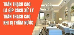 trần thạch cao bị thấm nước