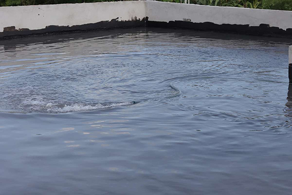 Bom-nuoc-va-danh-dau-muc-nuoc