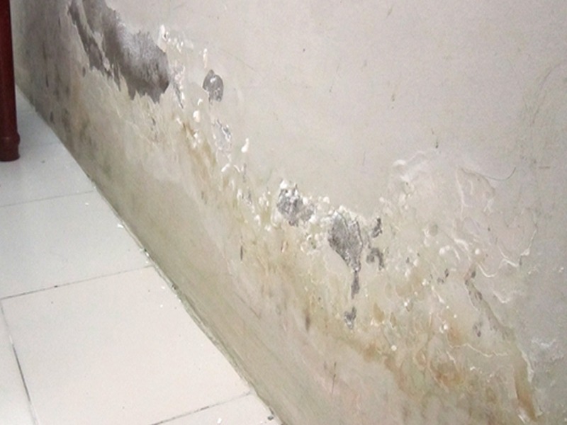 Ảnh hưởng tường bị bong tróc