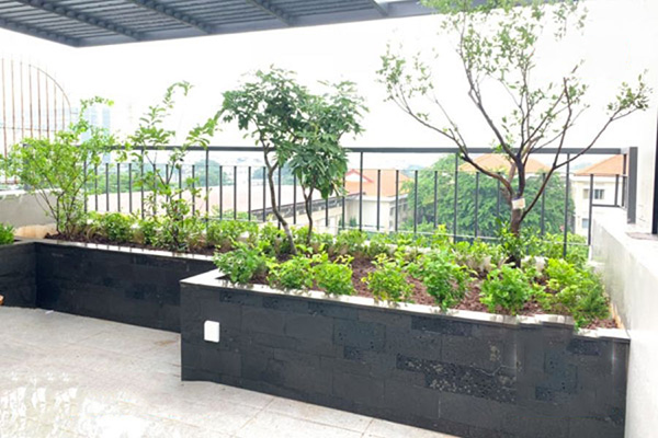 Chống thấm bồn cây bằng màng Bitum