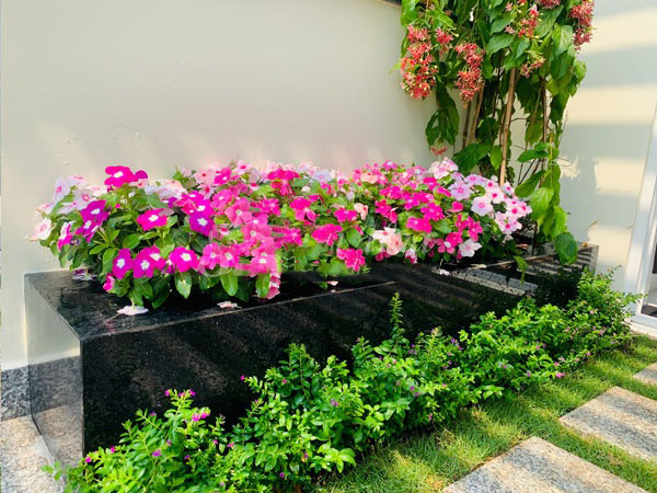 Lưu ý khi chống thấm bồn cây