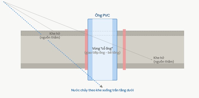 minh hoa co ong