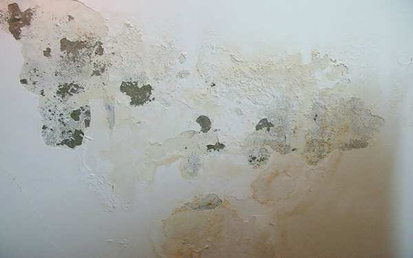 Tường bị bong tróc