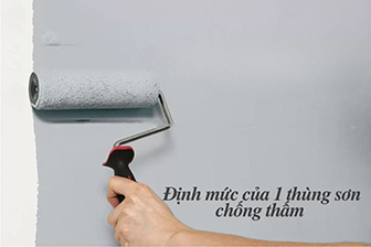 anh-img-dinh-muc-son-chong-tham