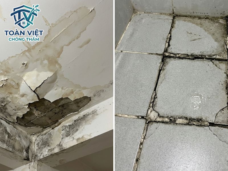 Cách chống thấm nhà vệ sinh cũ không đục gạch, đục nền 2026 1 Trần nhà tầng dưới ố vàng và mạch gạch bong tróc là dấu hiệu sàn nhà vệ sinh đã ngấm nước