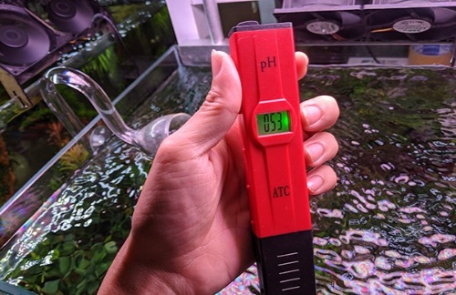 Sơn chống thấm an toàn sẽ không thay đổi độ pH của nước