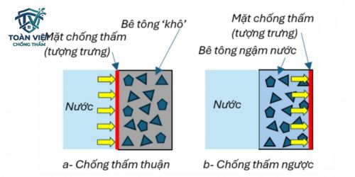 Sơ đồ cơ chế chống thấm ngược từ bên trong ngăn chặn áp lực thủy tĩnh
