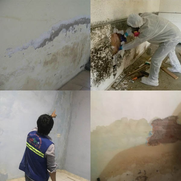 Khi nào nên chống thấm ngược tường trong nhà bằng Sika