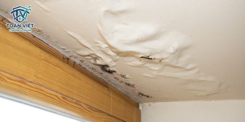 Trần nhà bị thấm nước có nguy hiểm không? Xử lý khẩn cấp 3 Tấm thạch cao khi ngậm đủ nước sẽ bị võng xệ, mục nát và dễ sập